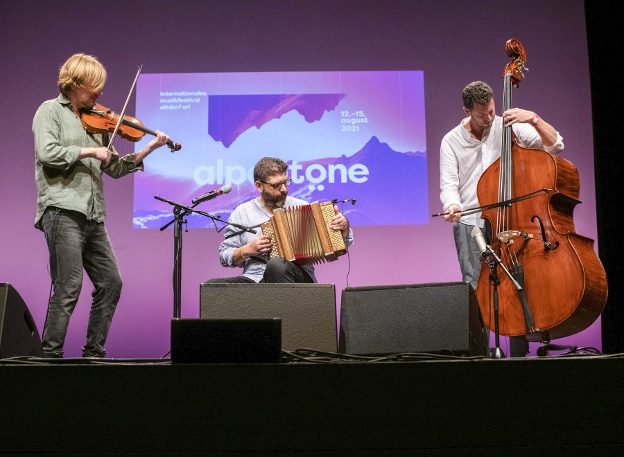 gallery/amba-ck-0336