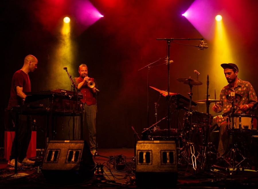 alpentoene-23-Sa-Florian Favre Remixed-c-emmanuelle-nemoz