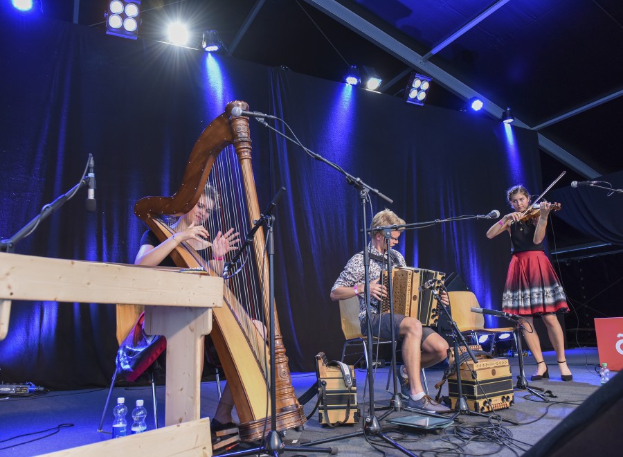 gallery/waldauf3-8440